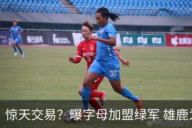惊天交易？曝字母加盟绿军 雄鹿为布朗寻找第三方